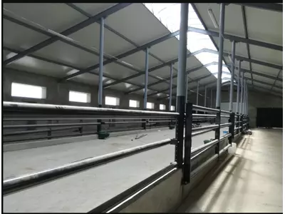 steel structure of the livestock facility